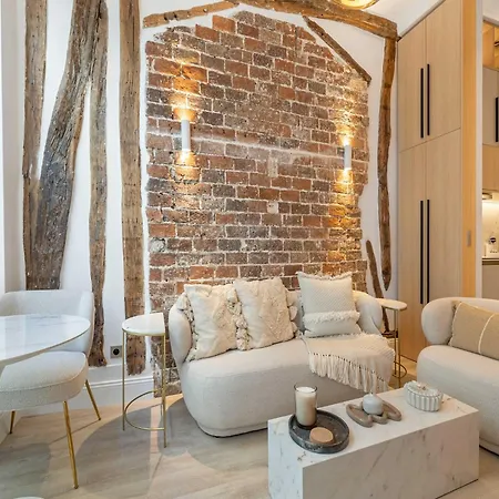 Historic Loft By Architect, Near Louvre Apartment