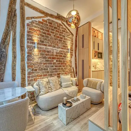 Historic Loft By Architect, Near Louvre Paris